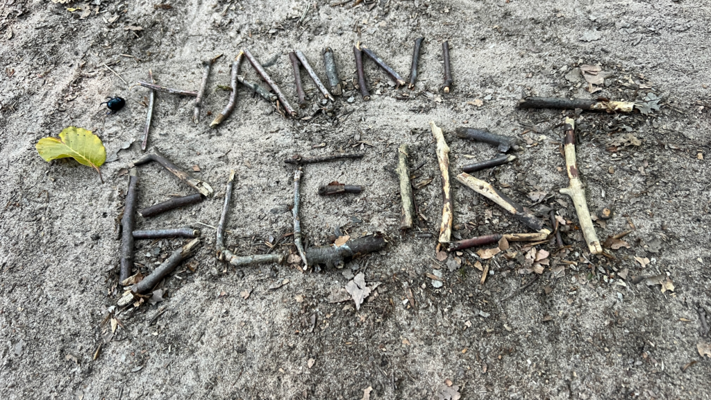 "Hanni Bleibt" (Hanni Stays) made out of sticks laid on the ground