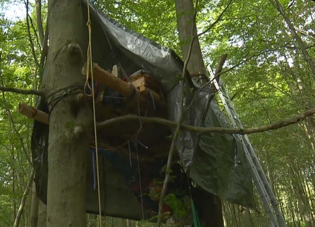 A wooden platform which is hanging between two trees. Over the platform is a green tarp. Next to the platform is a ladder out of metal which leads to the treehouse. Under the platform hangs a net with some bags in it. 